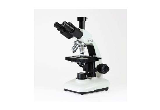 실험실 기초장비: 광학현미경